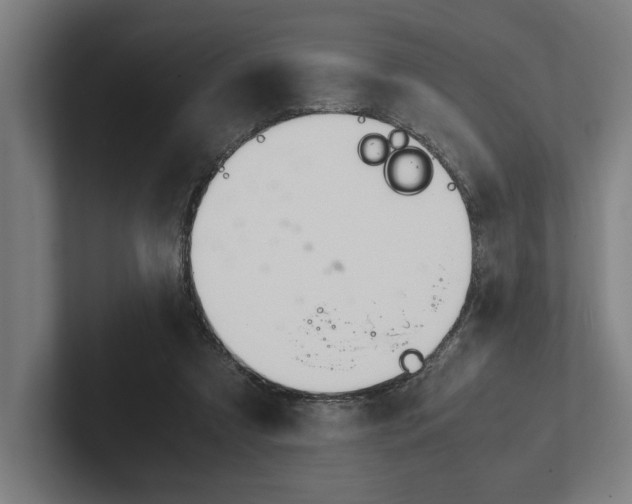 X0000102860305200808181031
