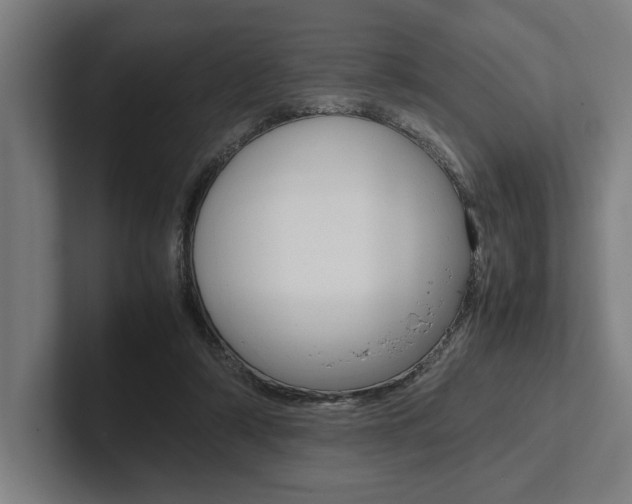 X0000102860306200808181031