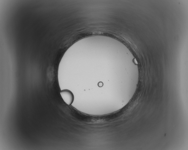 X0000102860311200808181031