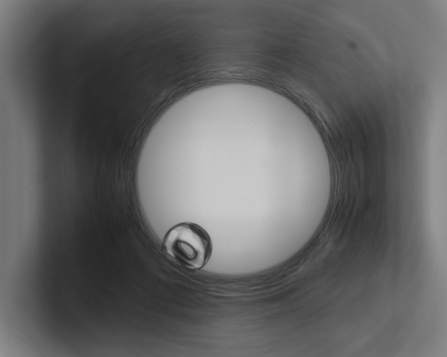 X0000102860312200808181031