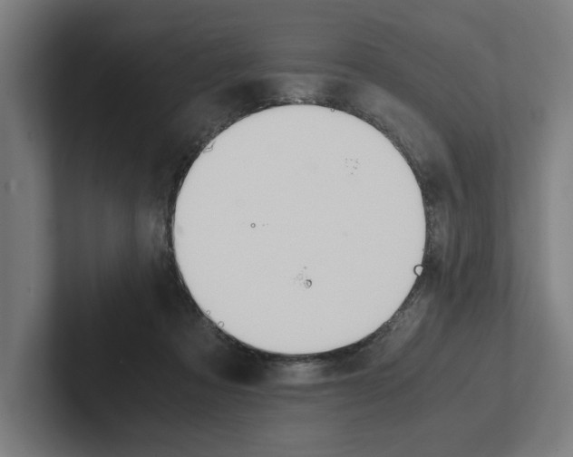X0000102860313200808181031