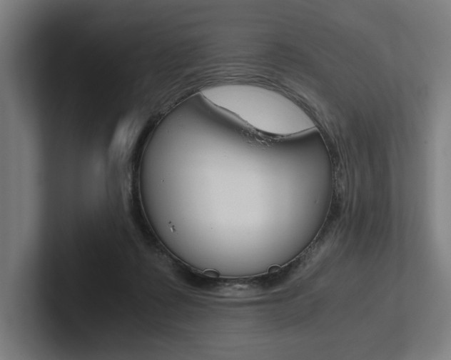 X0000102860315200808181031