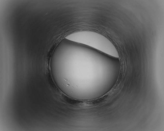 X0000102860320200808181030