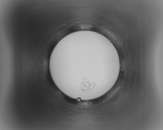 X0000102860321200808181030