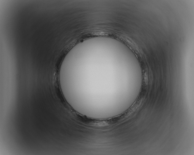 X0000102860322200808181030
