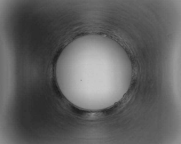X0000102860323200808181030