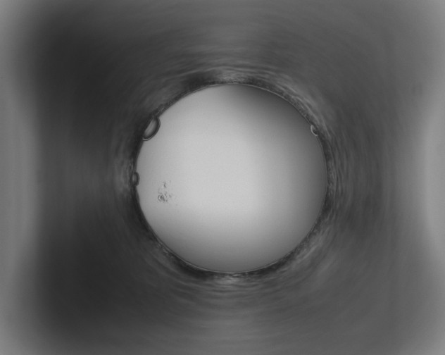 X0000102860325200808181030