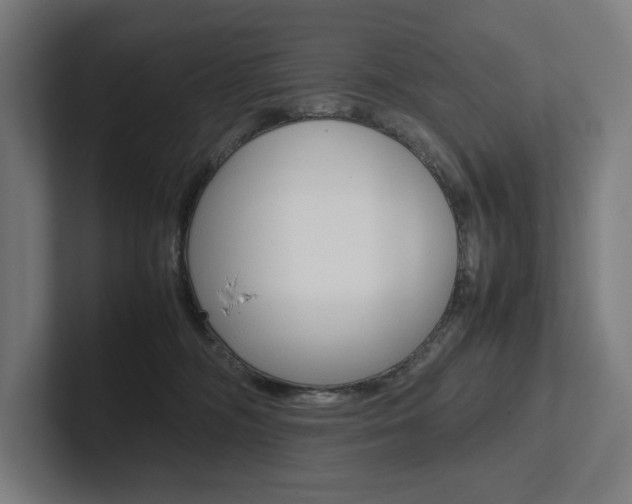 X0000102860326200808181030