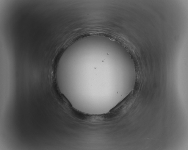 X0000102860327200808181030