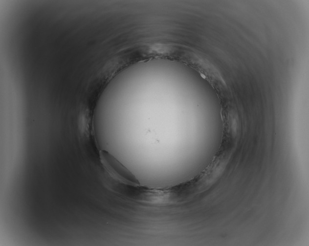 X0000102860328200808181030