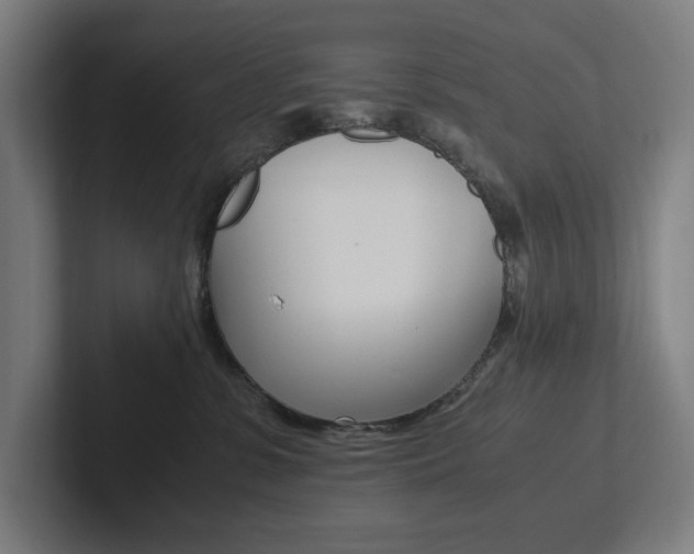 X0000102860331200808181030