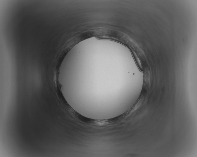 X0000102860333200808181030