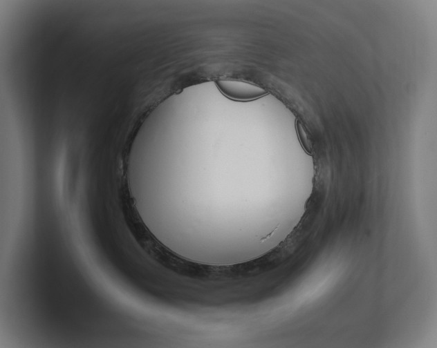 X0000102860335200808181030