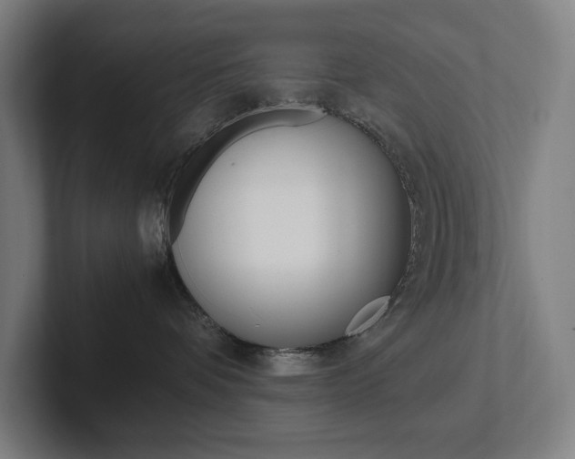 X0000102860336200808181030