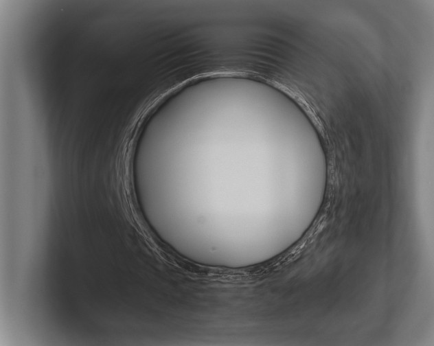 X0000102860337200808181030