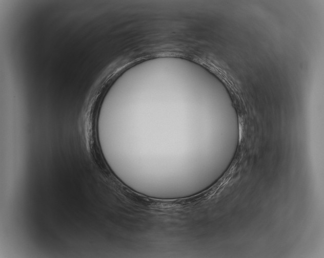 X0000102860339200808181030