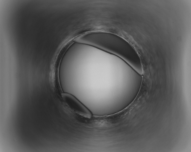 X0000102860344200808181030