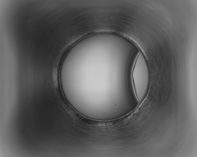 X0000102860345200808181030