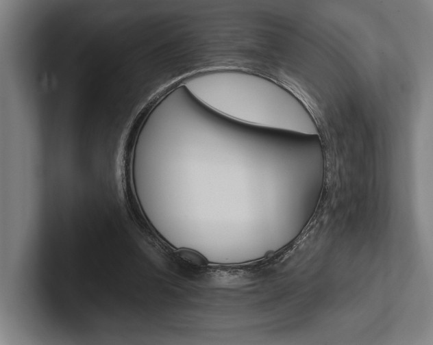 X0000102860346200808181030