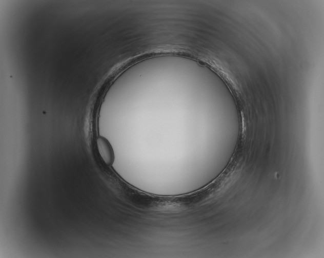 X0000102860348200808181030