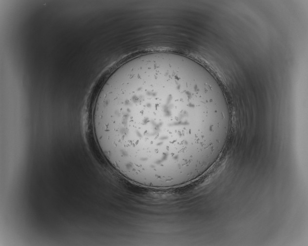 X0000102860351200808181030