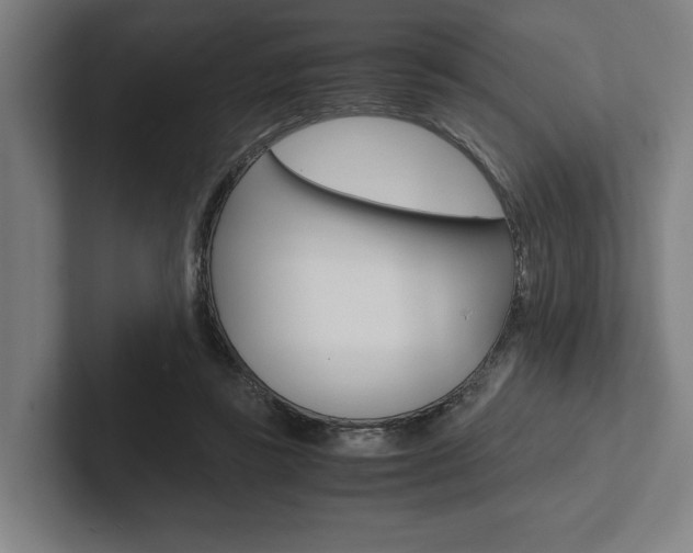X0000102860355200808181030