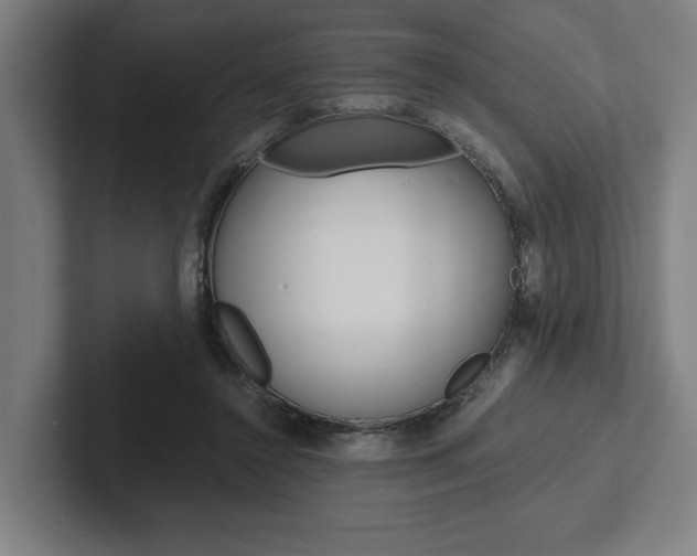 X0000102860356200808181030