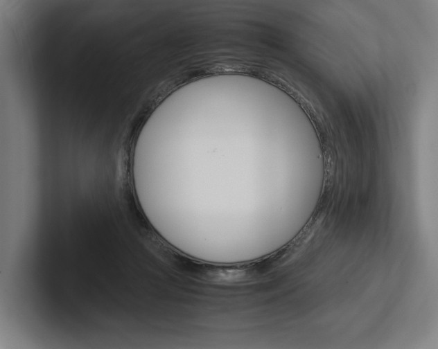 X0000102860361200808181030