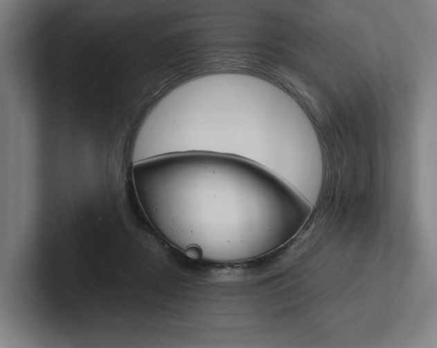 X0000102860362200808181030