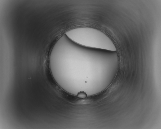 X0000102860364200808181030