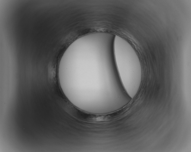 X0000102860365200808181030