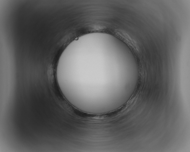 X0000102860366200808181030
