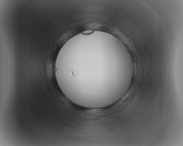X0000102860378200808181030