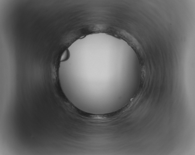 X0000102860380200808181030