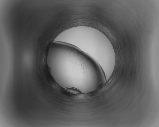 X0000102860382200808181030