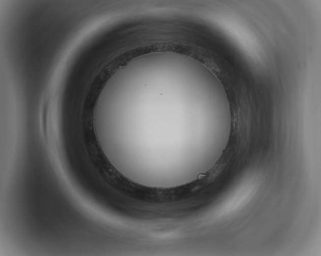 X0000102860383200808181030