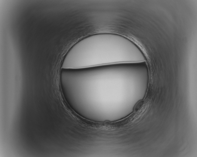 X0000102860385200808181030