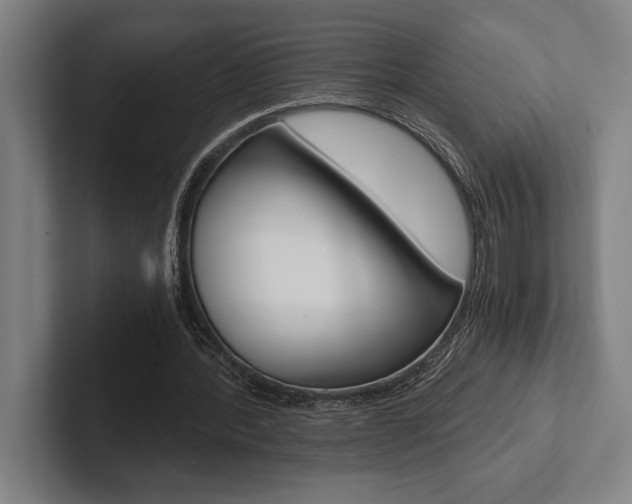 X0000102860388200808181030