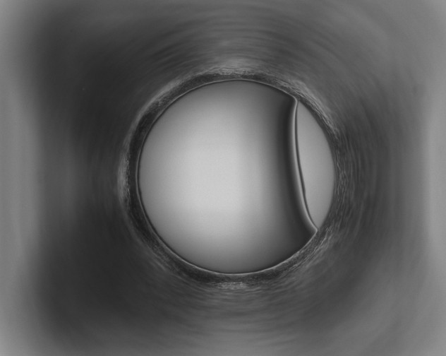 X0000102860392200808181030