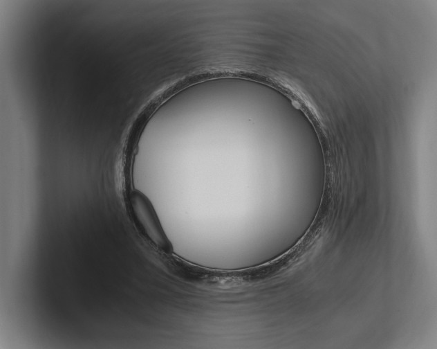 X0000102860395200808181029