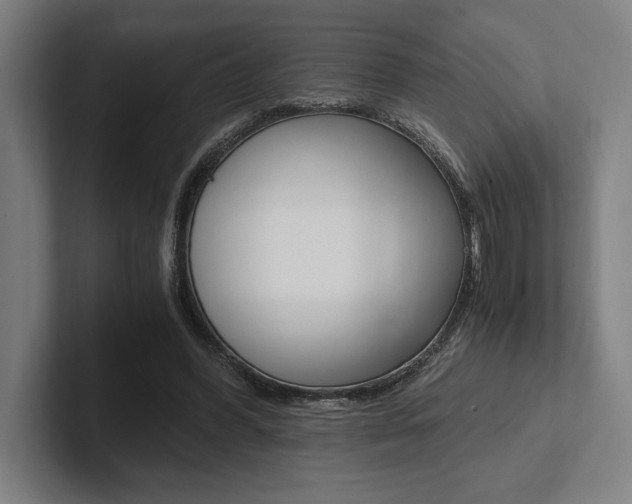 X0000102860396200808181029