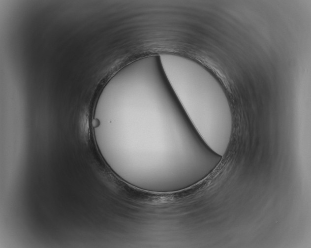 X0000102860398200808181029