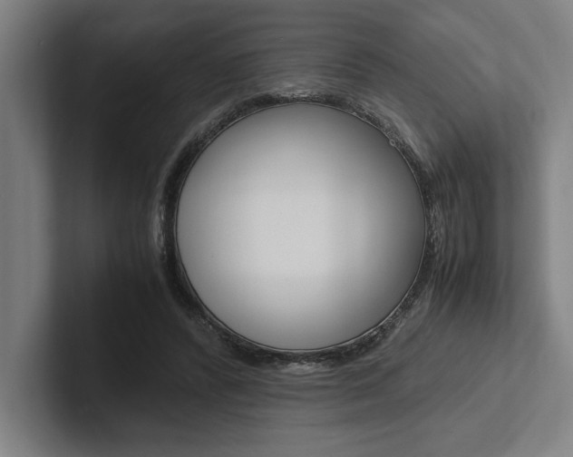 X0000102860400200808181029