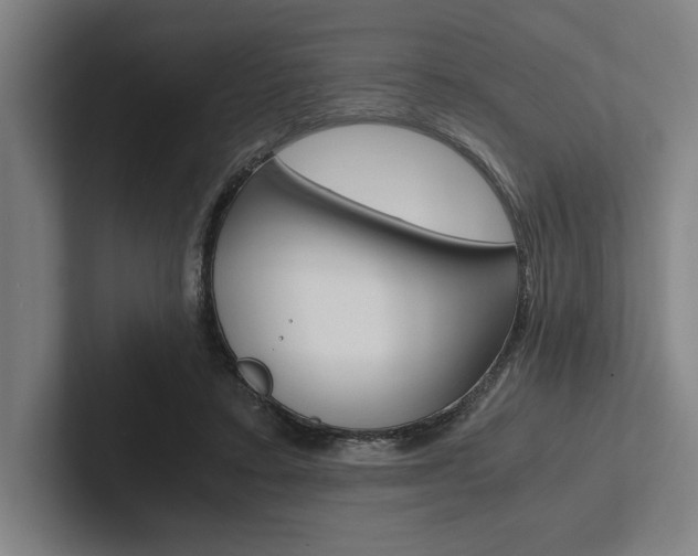 X0000102860403200808181029