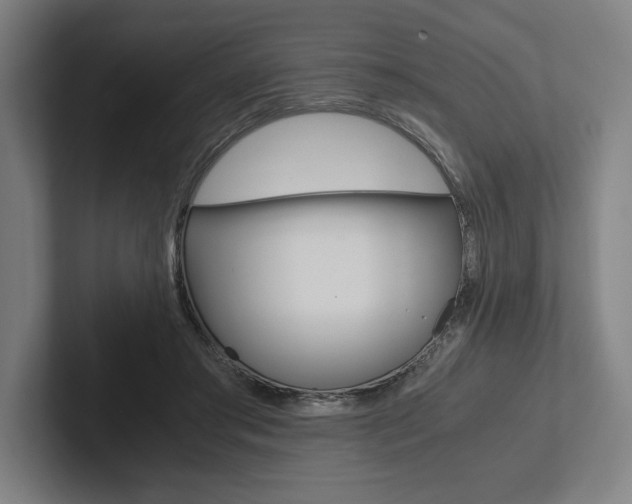 X0000102860405200808181029
