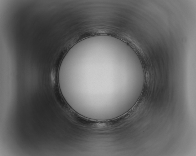X0000102860406200808181029
