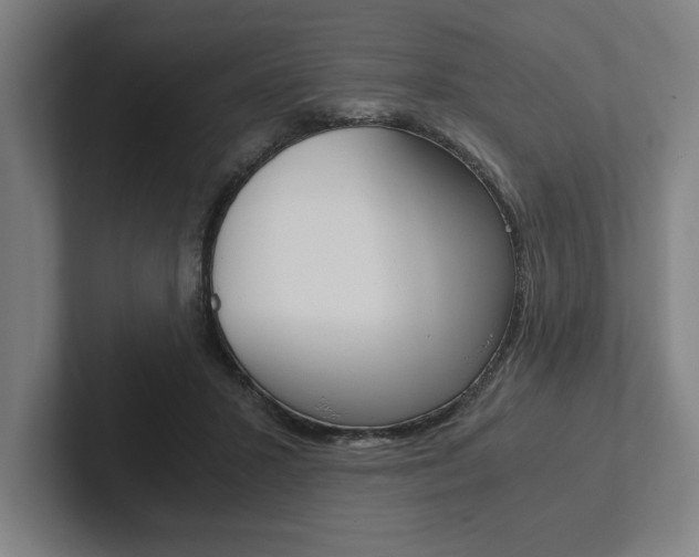 X0000102860407200808181029