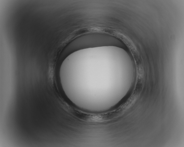 X0000102860409200808181029