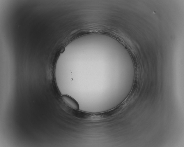 X0000102860413200808181029