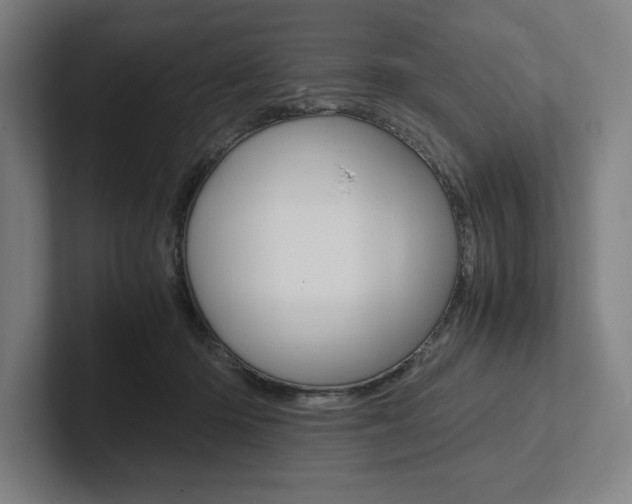X0000102860414200808181029